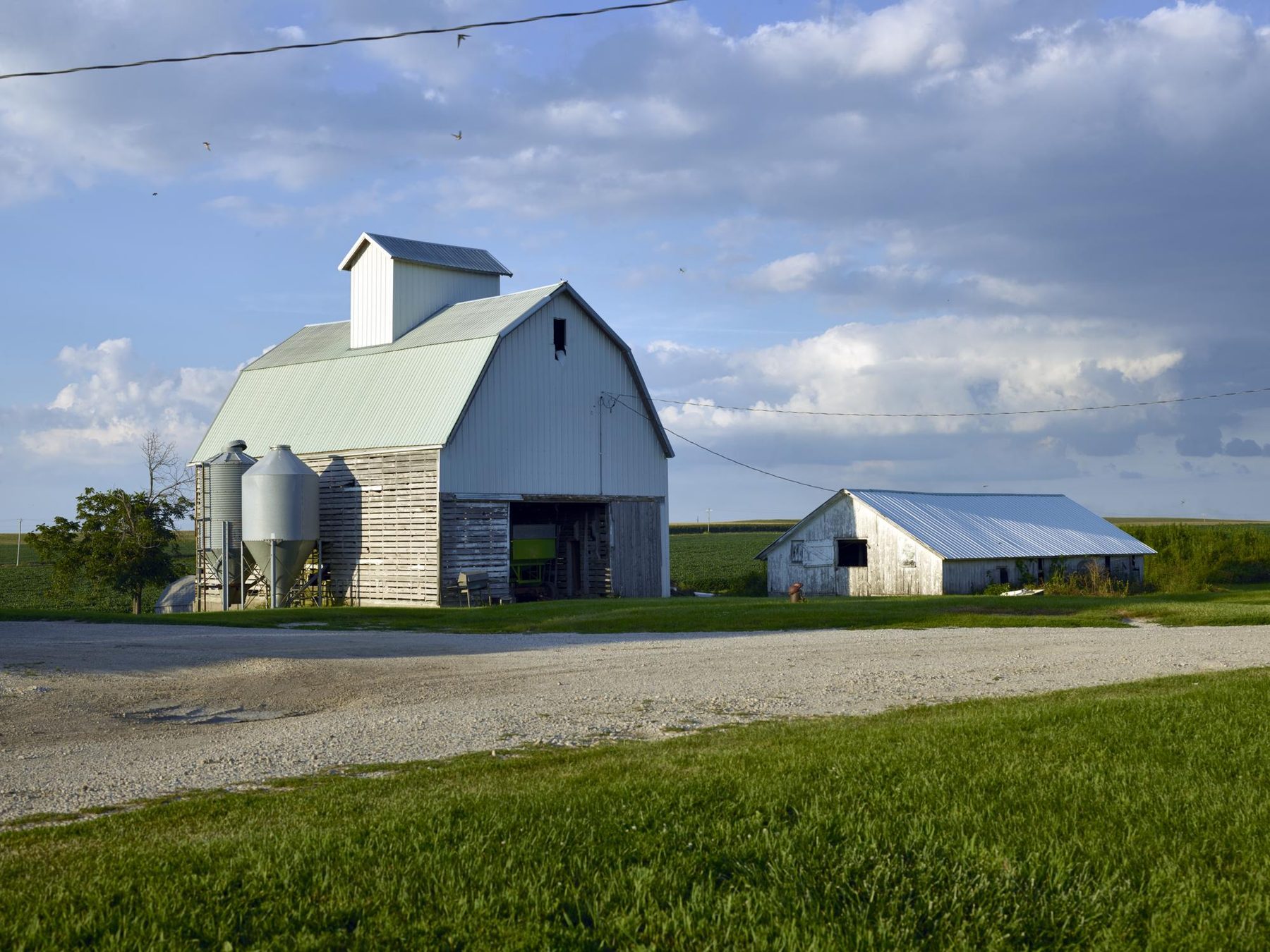 A tidy farmstead with a white barn and grain bins in Benton County, Iowa